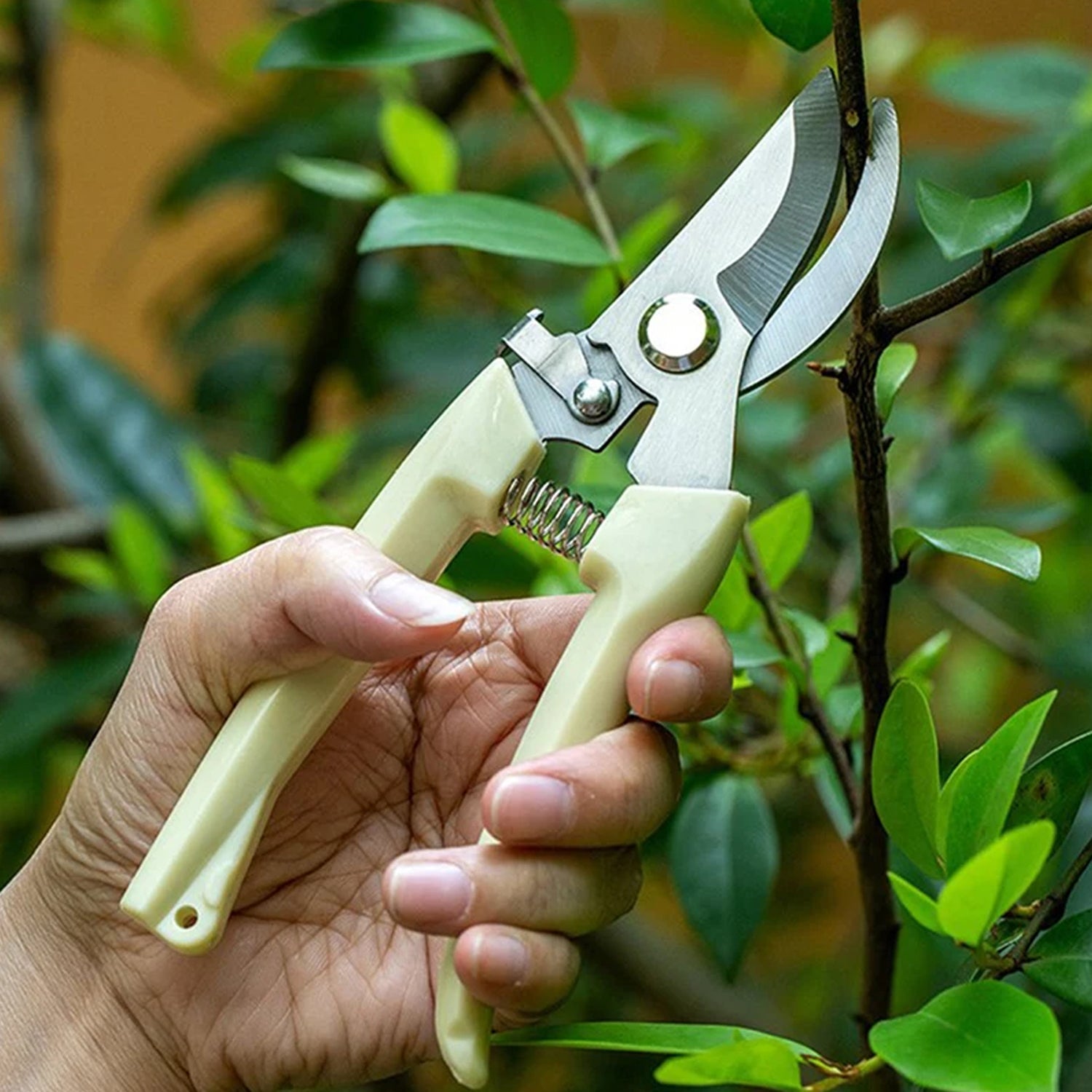 0471 Stainless Steel Pruning Shears with Sharp Blades and Comfortable handle - Durable Hand Pruner for Comfortable and Easy Cutting, Heavy Duty Gardening Cutter Tool Plant Cutter for Home Garden | Wood Bran (1 Pc) 0471 Stainless Steel Pruning Shears with Sharp Blades and Comfortable handle - Durable Hand Pruner for Comfortable and Easy Cutting, Heavy Duty Gardening Cutter Tool Plant Cutter for Home Garden | Wood Bran (1 Pc)